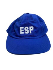 15AW/ESP 6 Panel Cap/キャップ/FREE/コットン/BLU/メンズ