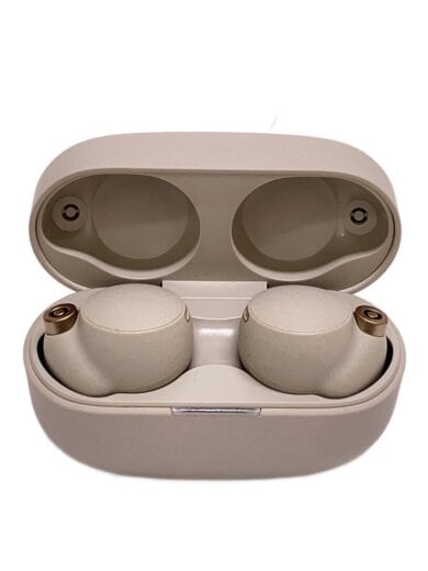 商品画像：イヤホン・ヘッドホン WF-1000XM4 (S) [プラチナシルバー] 1