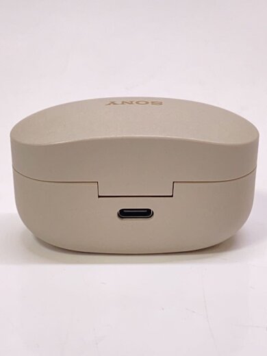 商品画像：イヤホン・ヘッドホン WF-1000XM4 (S) [プラチナシルバー] 6