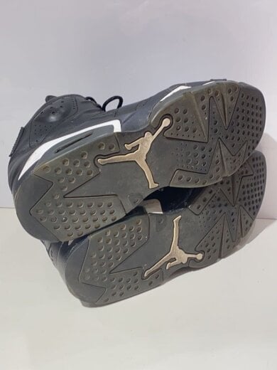 商品画像：AIR JORDAN 6 RETRO/エアジョーダンレトロ/グレー/384664-020/28.5cm/BLK 4