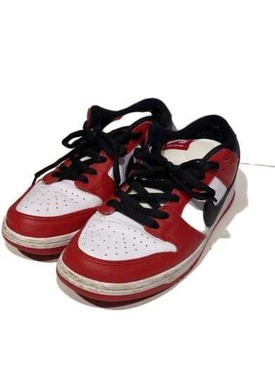 商品画像：SB DUNK LOW PRO_SB ダンク ロー プロ/29cm/RED 1
