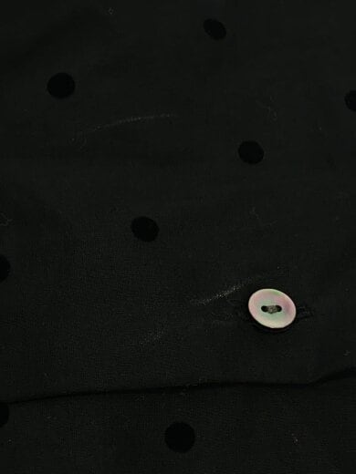 商品画像：25年モデル/フロッキードットプリントシャツ/長袖ブラウス/コットン/BLK/ドット 6