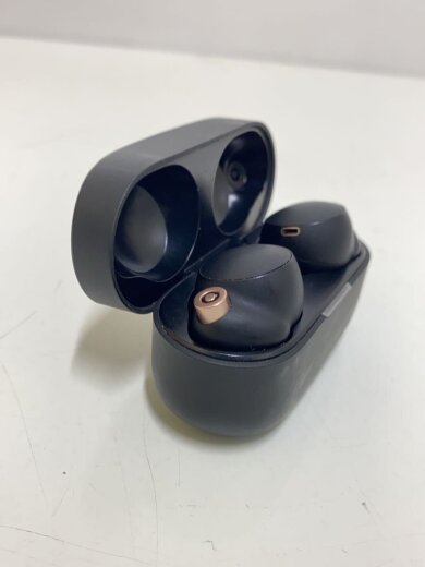 商品画像：イヤホン・ヘッドホン WF-1000XM4 (B) [ブラック]// 2
