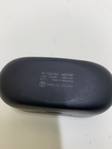 商品画像：イヤホン・ヘッドホン WF-1000XM4 (B) [ブラック]// 9