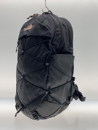 商品画像：Borealis Luxe Backback/ナイロン/BLK/NF0A81E7 2