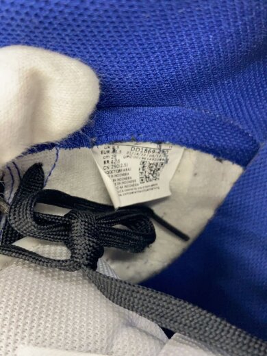 商品画像：DUNK HIGH_ダンク ハイ/29cm/BLU 5