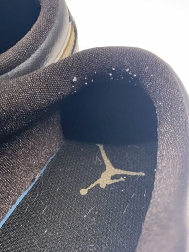 商品画像：AIR JORDAN 1 LOW_エア ジョーダン 1 ロー/26cm/BRW// 6
