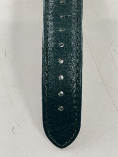 商品画像：自動巻腕時計/アナログ/レザー/GRN/GRN/A03 5