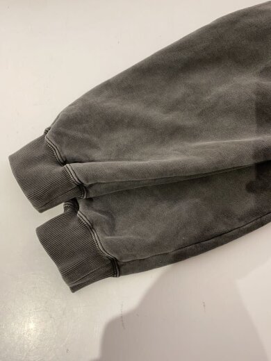 商品画像：PIGMENTDYE INDY GRAB ZIP HOODED SWEA/L/コットン/GRY/101253012024 6