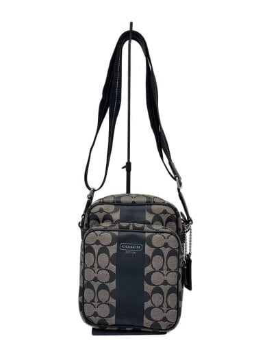 商品画像：ヘリテージ ストライプ シグネチャー/ショルダーバッグ/PVC/GRY/総柄/F70589 1