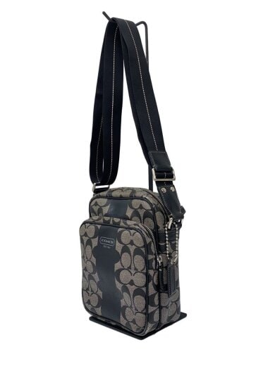 商品画像：ヘリテージ ストライプ シグネチャー/ショルダーバッグ/PVC/GRY/総柄/F70589 2