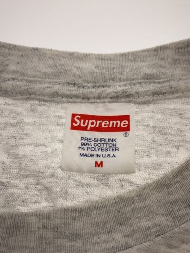 商品画像：THRASHER SKYLINE　TEE/Tシャツ/M/コットン/GRY 3