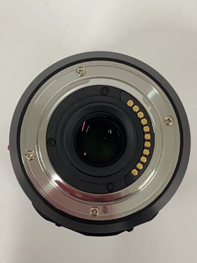 商品画像：レンズ LUMIX G VARIO 7-14mm/F4.0 ASPH. H-F007014// 4