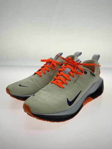 商品画像：INFINITYRUN 4 GTX_インフィニティラン 4 GTX/28cm/CRM 2