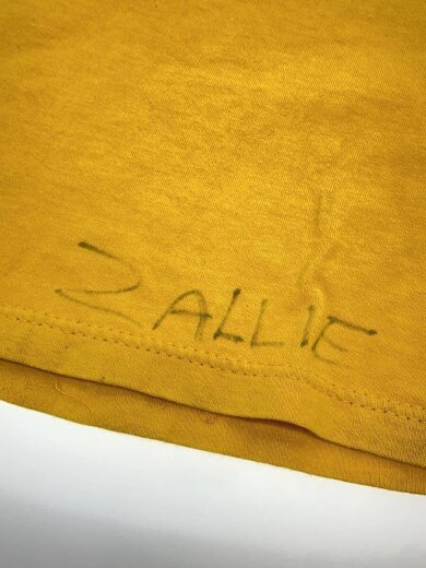 商品画像：90s/USA製/CRUSADERS/Tシャツ/L/コットン/YLW/プリント 6