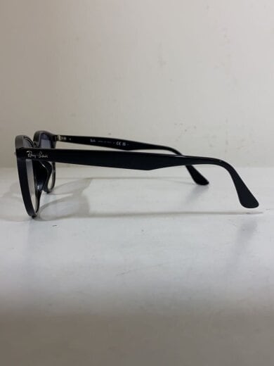 商品画像：サングラス/ウェリントン/プラスチック/メンズ/RB4259-F 3