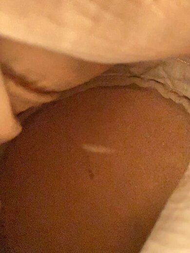 商品画像：ハンドバッグ/--/BRW/ストライプ// 6