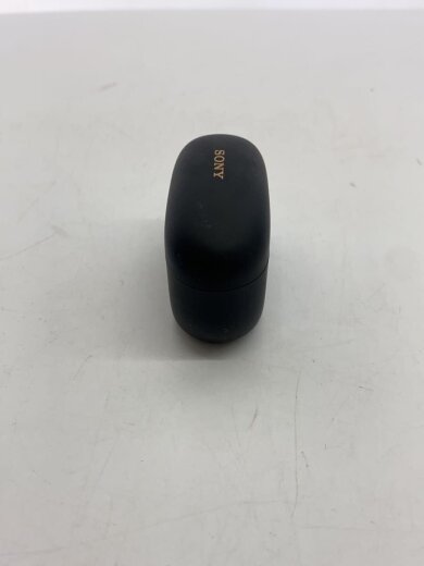 商品画像：イヤホン WF-1000XM5// 2
