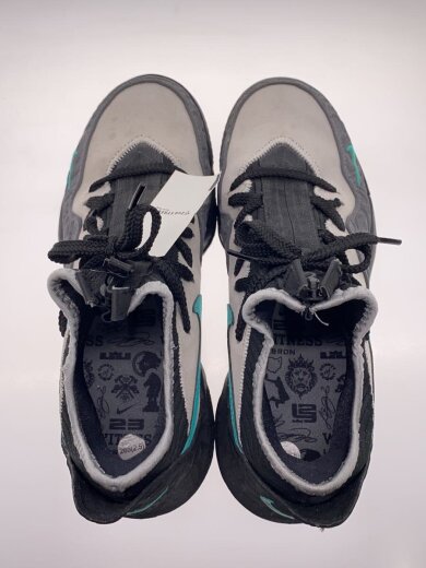 商品画像：LEBRON XVI LOW AC/レブロン/グレー/CI3358-003/26.5cm/GRY// 3