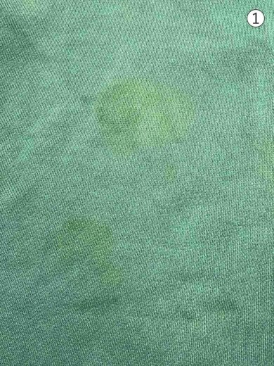 商品画像：スウェット/M/コットン/GRN// 6