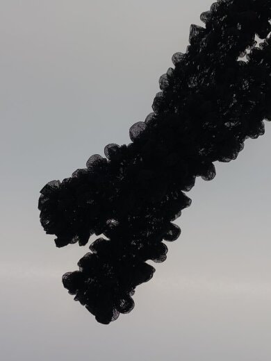 商品画像：トップス/FREE/ポリエステル/黒/01320490130/2PIECES SHEER POPCORN TOP 6