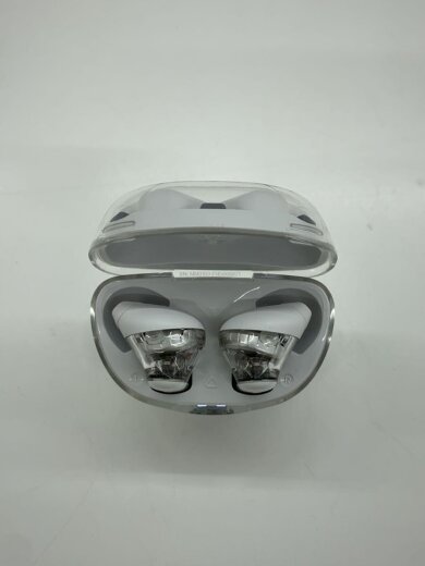 商品画像：イヤホン Tune Flex Ghost Edition JBLTFLEXG 2