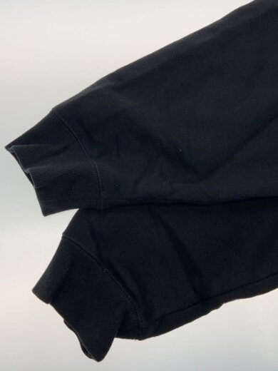 商品画像：BASIC STUSSY HOODIE/パーカー/L/コットン/BLK/Z4000SAS20 5