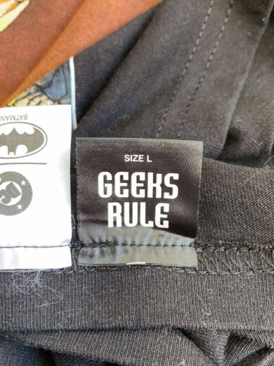 商品画像：GEEKS RULE/BATMAN＆ROBIN/Tシャツ/L/コットン/BLK 4