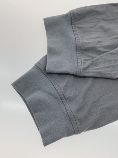 商品画像：Small Box L S Tee/長袖Tシャツ/L/コットン/GRY 5