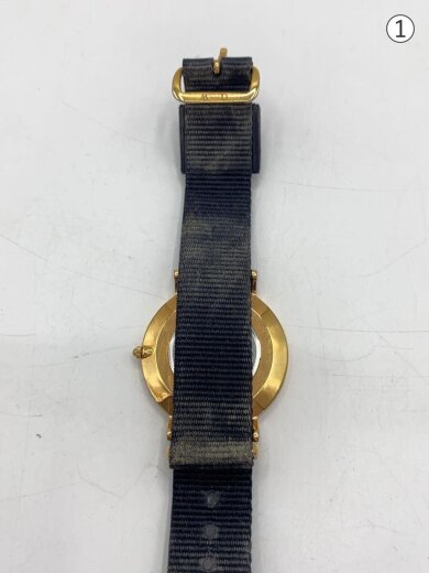 商品画像：クォーツ腕時計/アナログ/ナイロン/BLK/BLK/DW00100150 6