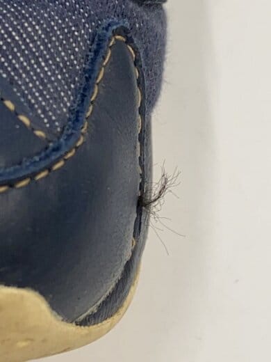 商品画像：INSTAPUMP FURY OG_インスタポンプ フューリー OG/25.5cm/IDG 7