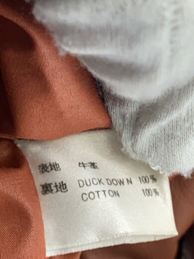 画像：DAYTONAダウンジャケット/L/牛革/BRW4