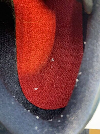 商品画像：AIR JORDAN 1 LOW/29cm/BLK/DC0774-061 6