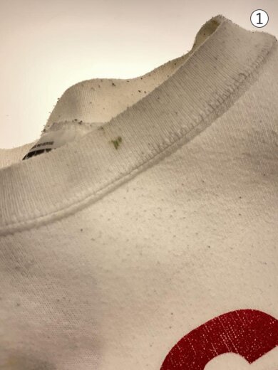 商品画像：USA HOME OF THE BRAVE/スウェット/XL/コットン/WHT 5