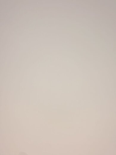 商品画像：ローカットスニーカー/29cm/BLK/HQ2037-002 8