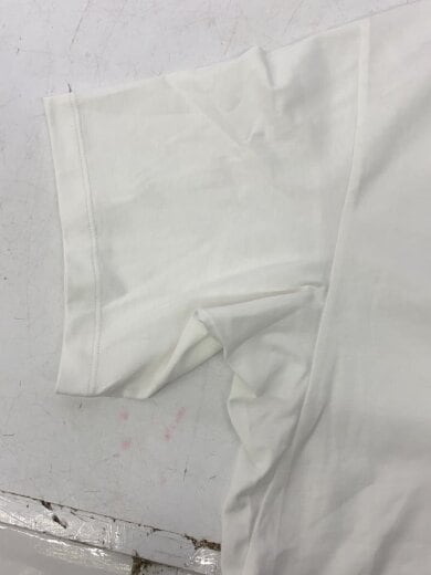 商品画像：ARC’TERYX/Tシャツ/L/コットン/WHT/X000009535/Kragg SL Cotton Bird W 5