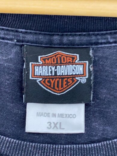 商品画像：Tシャツ/3XL/コットン/BLK/無地 3