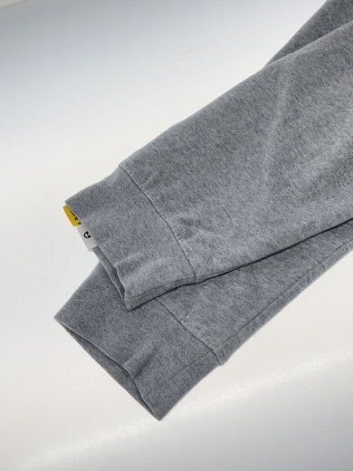 商品画像：ラバーロゴスウェット/M/コットン/GRY/AAPSWM3795XXF 5