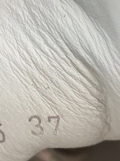 商品画像：ローカットスニーカー/37/RED 5