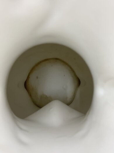 商品画像：耳付花瓶/壷・花瓶/WHT 6