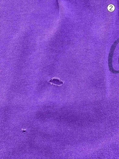 商品画像：穴あき有/Tシャツ/--/コットン/PUP 6