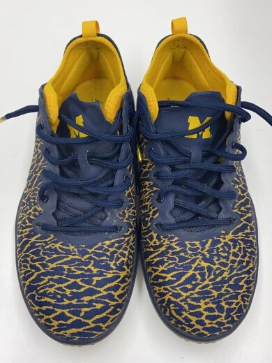 商品画像：JORDAN TRAINER 1 LOW/ジョーダントレーナーロー/ブルー/845403-420/26cm/BLU 6