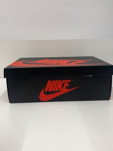 商品画像：AIR JORDAN 1_エア ジョーダン 1/28.5cm/GRY 6