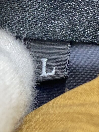 商品画像：BALTRO LIGHT JACKET_バルトロライトジャケット/L/ゴアテックス/BRW/無地 4