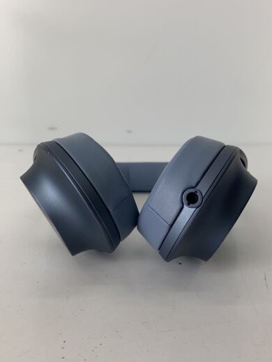 商品画像：イヤホン・ヘッドホン h.ear on 2 MDR-H600A (L) [ムーンリットブルー]// 7