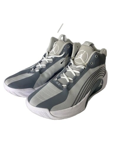 商品画像：JORDAN JUMPMAN 2021 PF_ジョーダン ジャンプマン 2021 PF/28cm/GRY 1