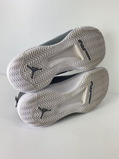 商品画像：JORDAN JUMPMAN 2021 PF_ジョーダン ジャンプマン 2021 PF/28cm/GRY 6
