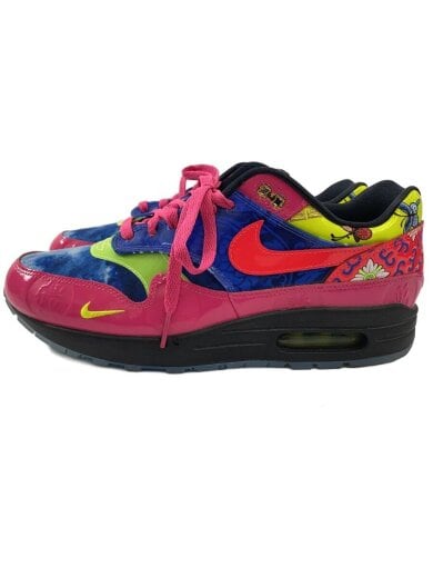 商品画像：AIR MAX 1 PREMIUM/28cm/マルチカラー 1