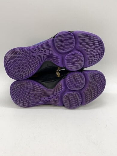 商品画像：LEBRON WITNESS V EP_レブロンウィットネス 5 EP/27cm/BLK 4