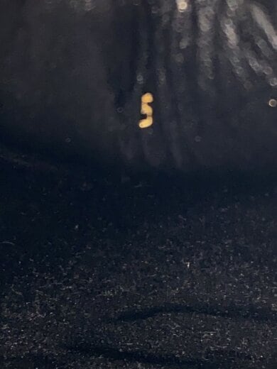 商品画像：シューズ/5/ブラック 5